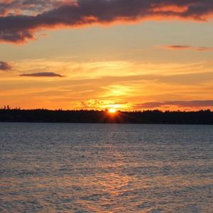 Meet your Posher, Maggie